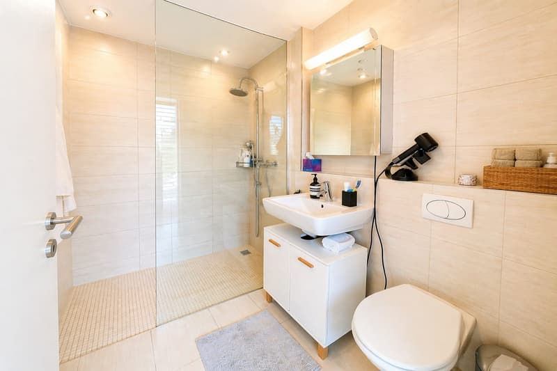 Exklusive 4.5-Zi.-Attika mit Panorama-Seesicht & 150 m² Dachterrasse | Wädenswil (9)