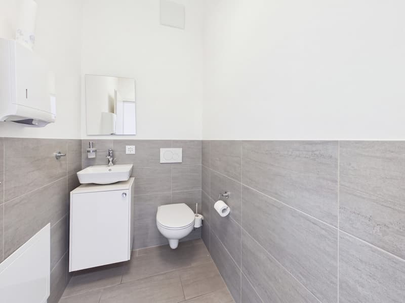 Moderne 5.5-Zimmer Büro-/Gewerbefläche in Baar mieten (10)