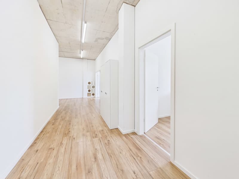 Moderne 5.5-Zimmer Büro-/Gewerbefläche in Baar mieten (7)