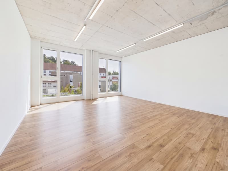 Moderne 5.5-Zimmer Büro-/Gewerbefläche in Baar mieten (3)