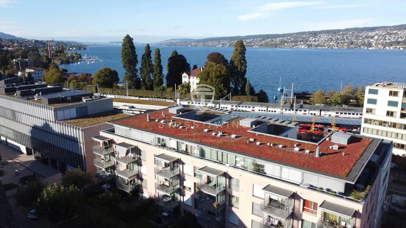 Lichtdurchflutete 3.5-Zimmer-Attika- in Horgen - Terrasse, Seesicht & optional voll ausgestattet (11)