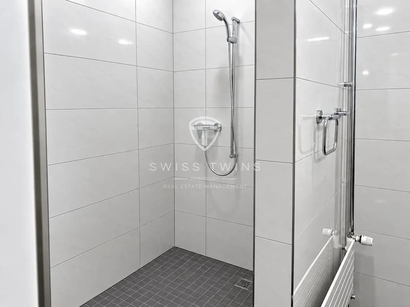 Top Gewerbestandort Oberrüti - 3'400 m² Lagerfläche mit optimaler Logistik (10)