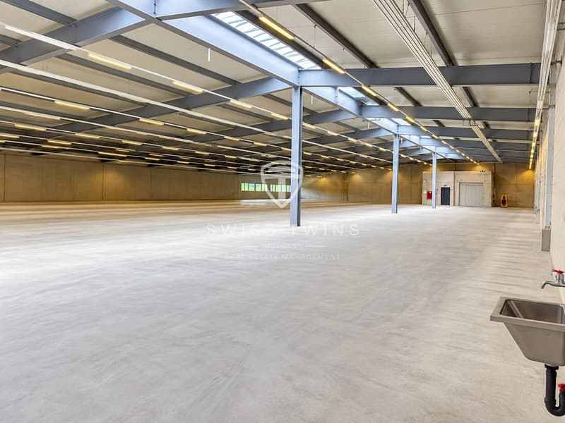 Top Gewerbestandort Oberrüti - 3'400 m² Lagerfläche mit optimaler Logistik (4)