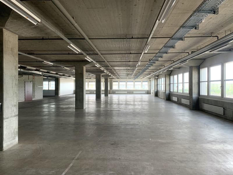 homegate_lagerflaeche_4.jpg