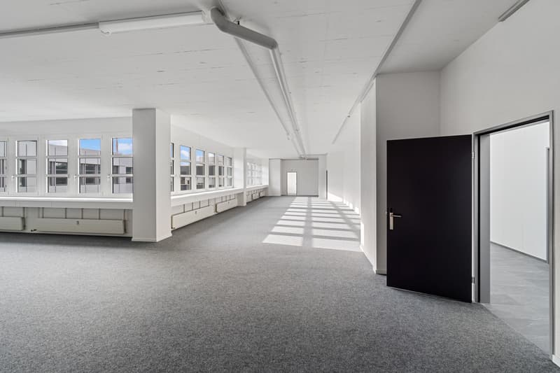 Halter_AG_Renovationen_Foto_Rickenbach_Industriestrasse_West_6_89.JPG