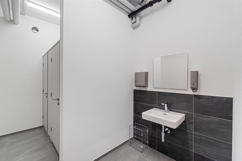 Halter_AG_Renovationen_Foto_Rickenbach_Industriestrasse_West_6_80.JPG