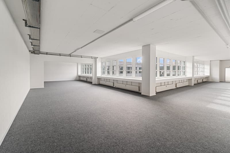 Halter_AG_Renovationen_Foto_Rickenbach_Industriestrasse_West_6_88.JPG