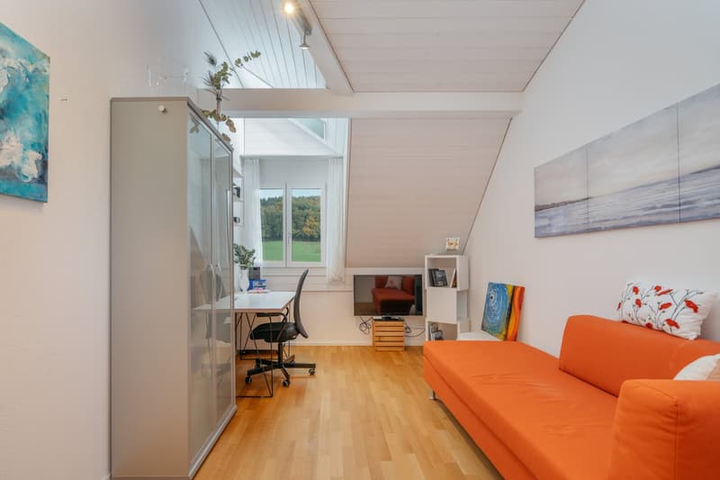 Modern living - surrounded by greenery and expanses (11)
