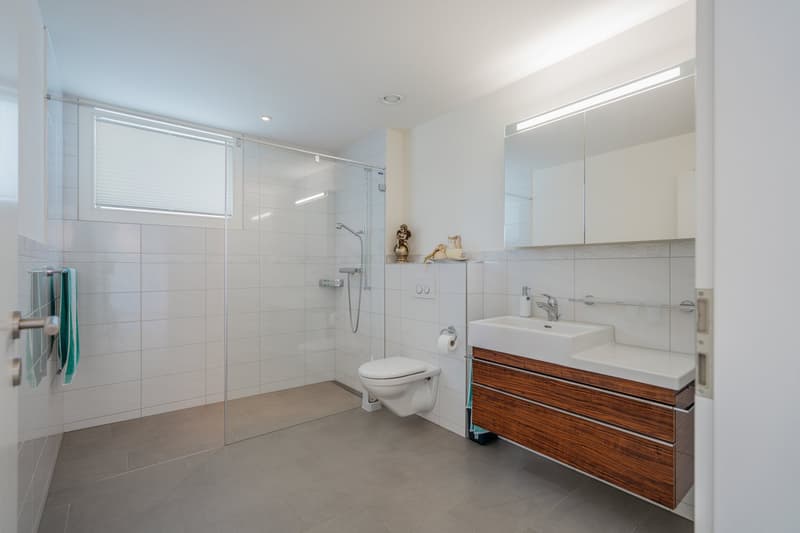 Space, Light, Panoramic View: Living at the Highest Level (9)