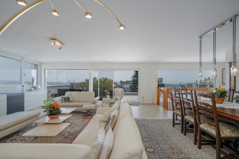 Space, Light, Panoramic View: Living at the Highest Level (5)