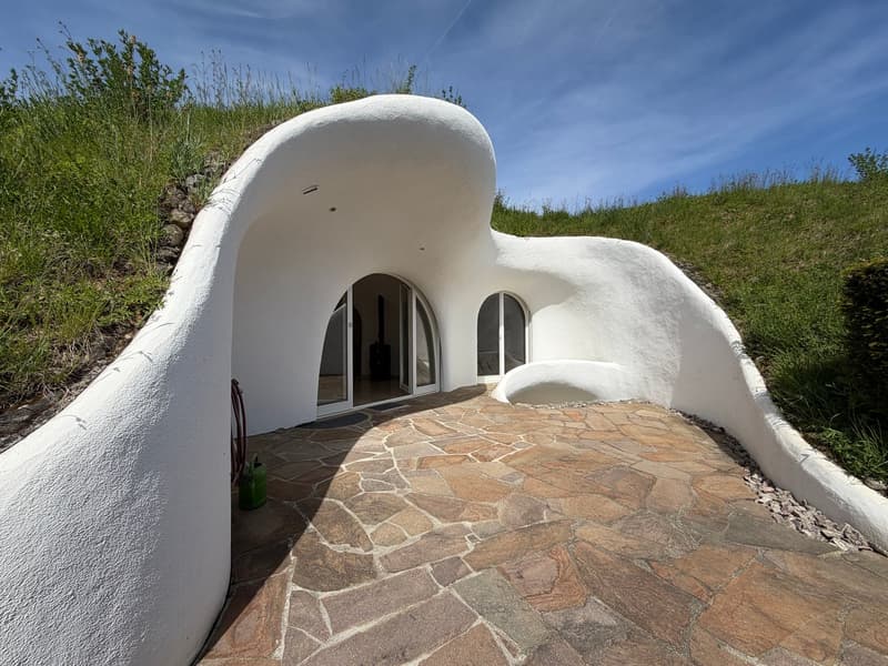 Living in harmony with nature (8)