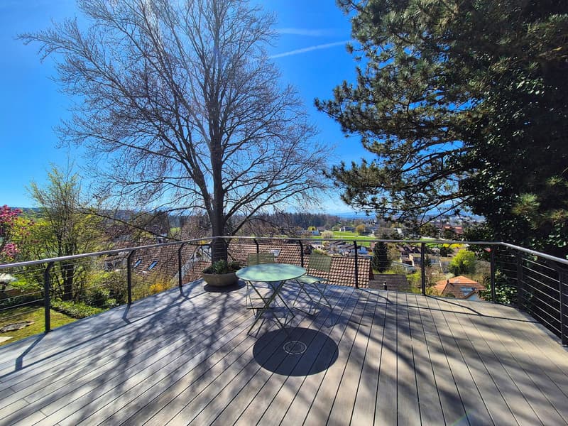 Exclusive 7.5 room single-family house in a privileged sunny location (3)