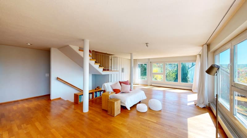 Exclusive 7.5 room single-family house in a privileged sunny location (5)