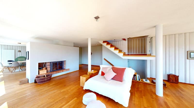 Exclusive 7.5 room single-family house in a privileged sunny location (6)