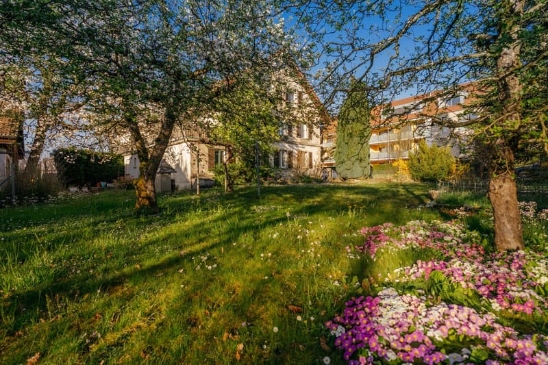 Ihre Projektchance: 1'212 m² Bauland innerhalb Bauzone WG3 (8)