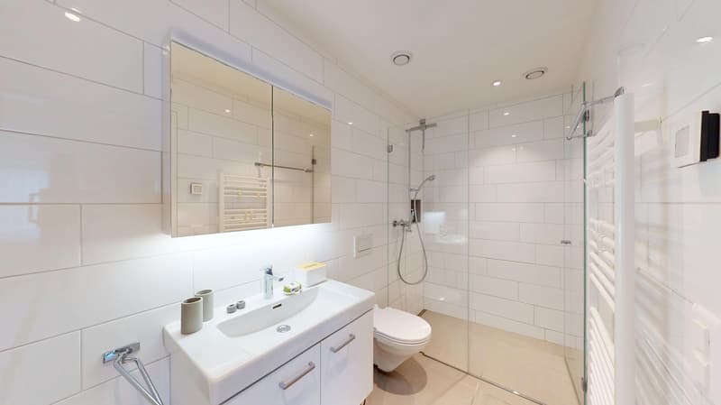 Furnished and nearly new 4.5-room apartment in a very central location (7)