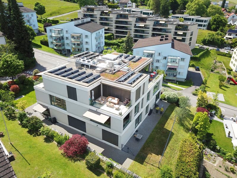 Stilvolle 4½-Zimmer Gartenwohnung mit teils Seesicht in Wädenswil (2)