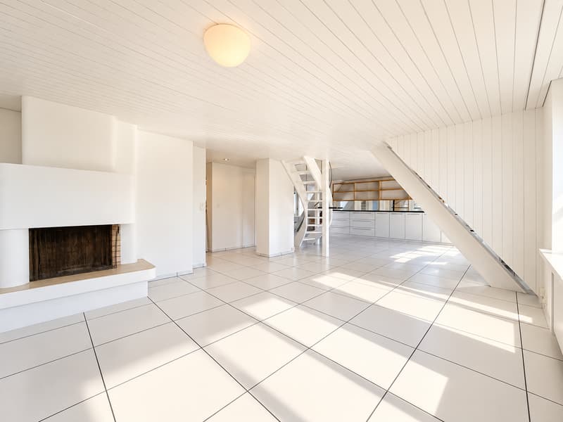 Über den Dächern von Zürich - Maisonette-Wohnung mit spektakulärer Dachterrasse (7)
