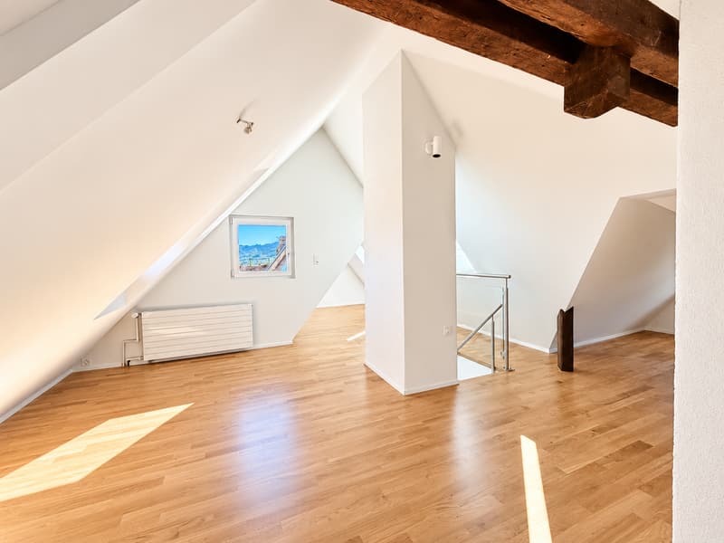Über den Dächern von Zürich - Maisonette-Wohnung mit spektakulärer Dachterrasse (11)