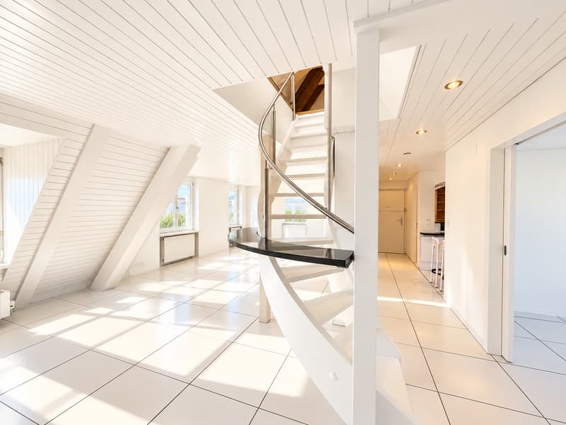 Über den Dächern von Zürich - Maisonette-Wohnung mit spektakulärer Dachterrasse (8)