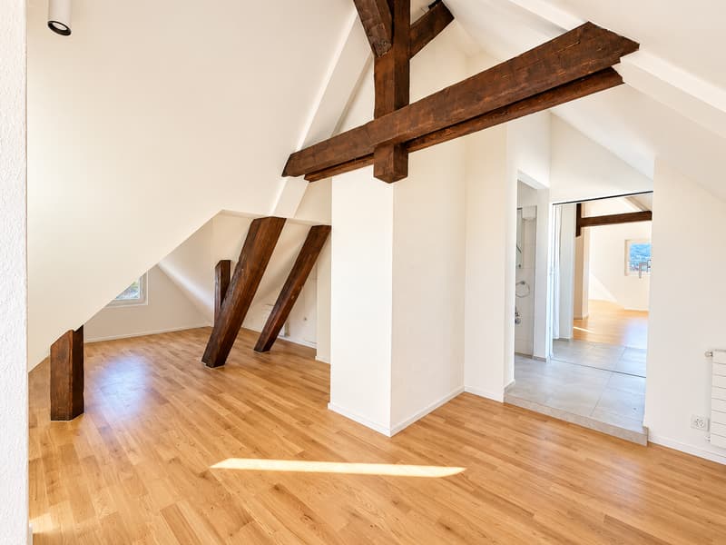 Über den Dächern von Zürich - Maisonette-Wohnung mit spektakulärer Dachterrasse (10)