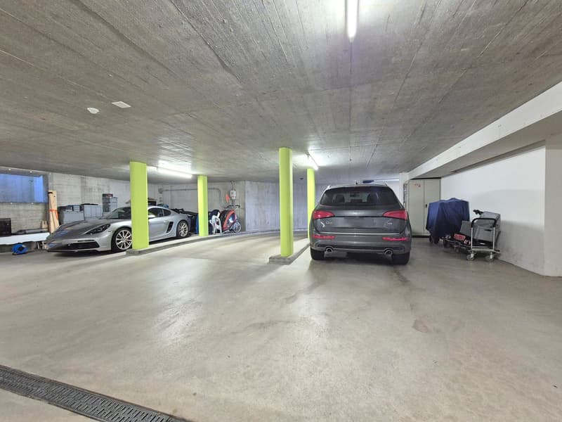 Wohnen im Grünen: Charmante 3½-Zimmer-Wohnung mit grossem Garten (12)