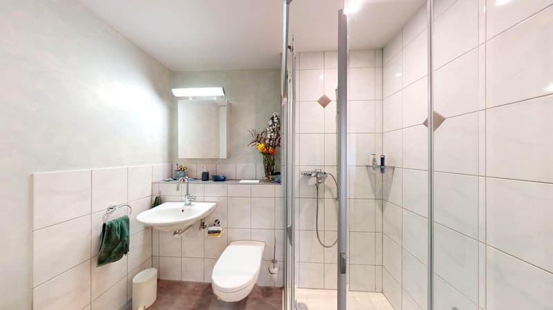 Wohnen im Grünen: Charmante 3½-Zimmer-Wohnung mit grossem Garten (13)