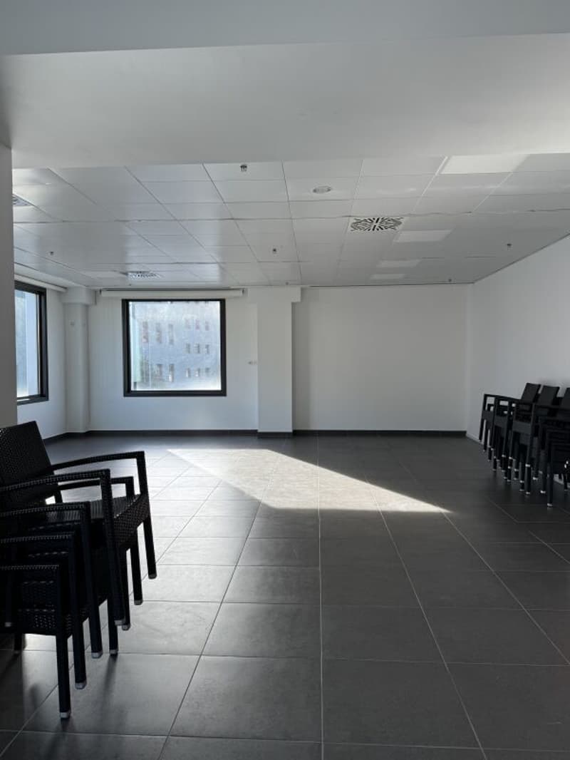 Mendrisio – Gewerbefläche zur Miete (2)