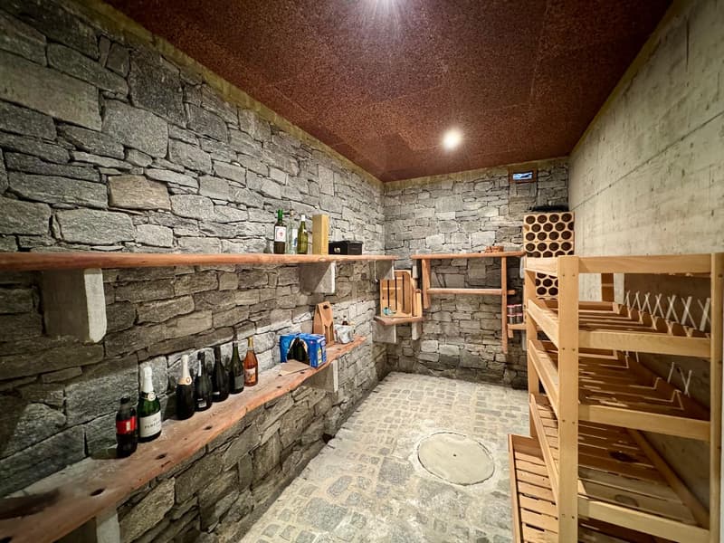 Camorino – Semi-detached house consisting of two independent apartments with stunning panoramic views and swimming pool (9)