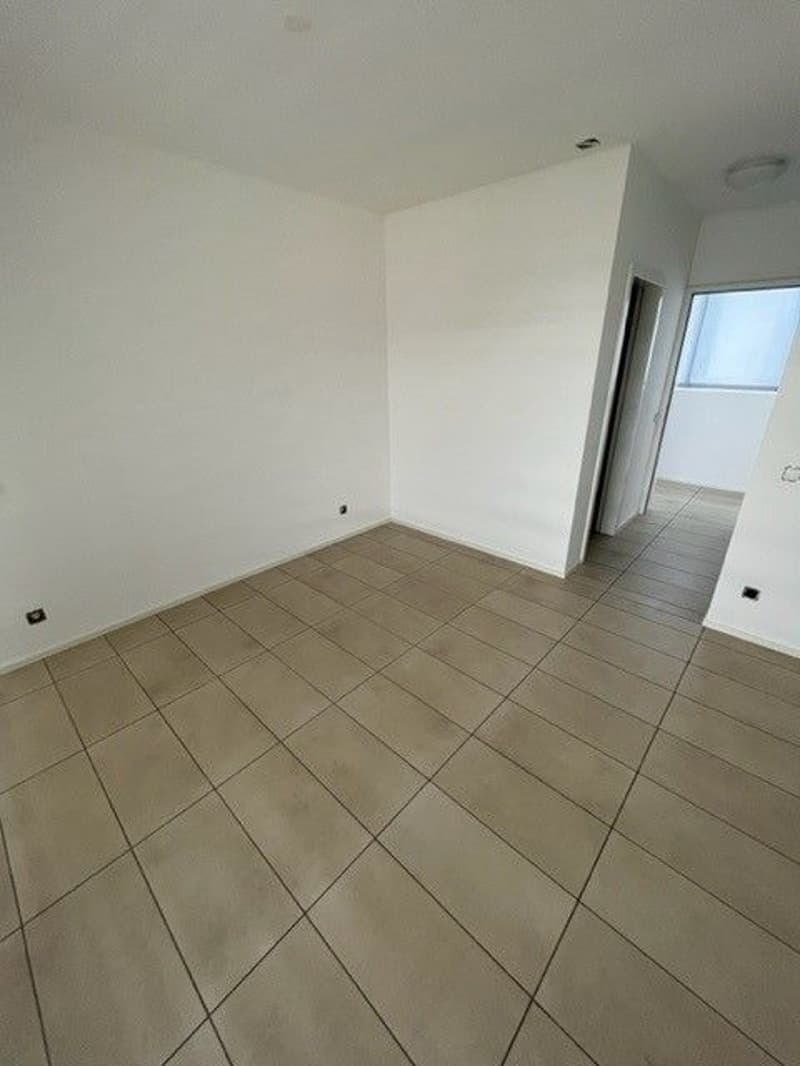 Lamone - Appartamento 3.5 locali (4)