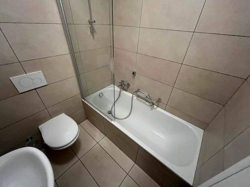 Lamone - Appartamento 3.5 locali (5)