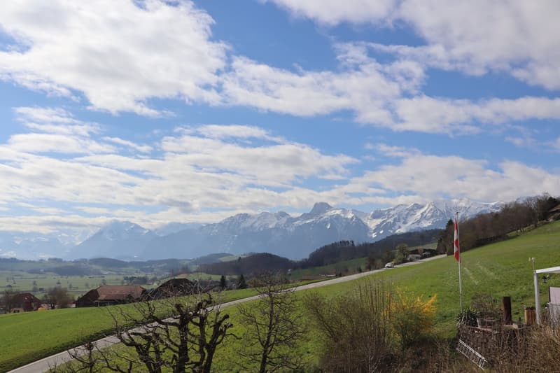 Appartamento di 4 locali con vista sulla montagna a Kirchenthurnen (1)