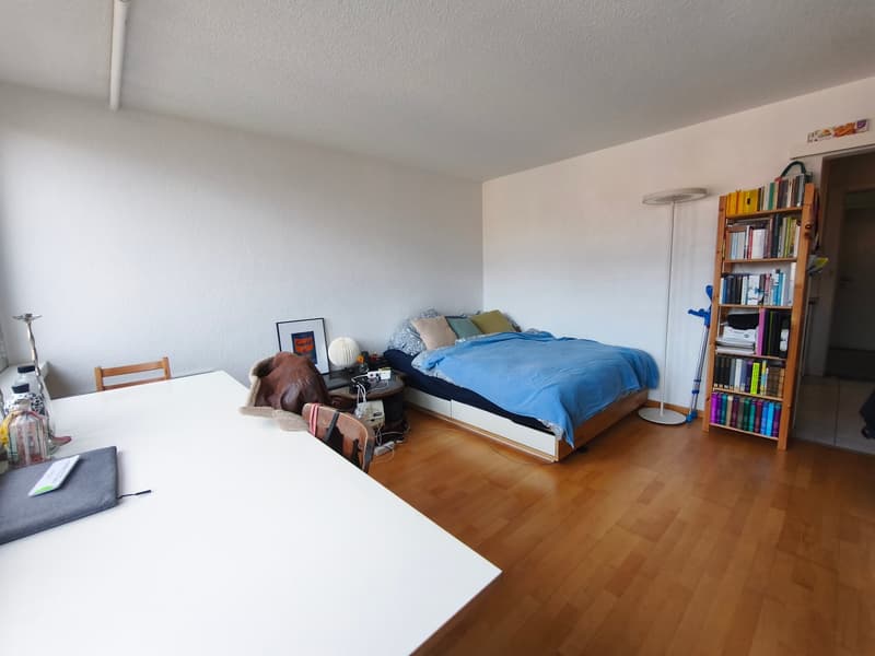 Gemütliche 1-Zimmer-Wohnung am Waldhöheweg in Bern (2)