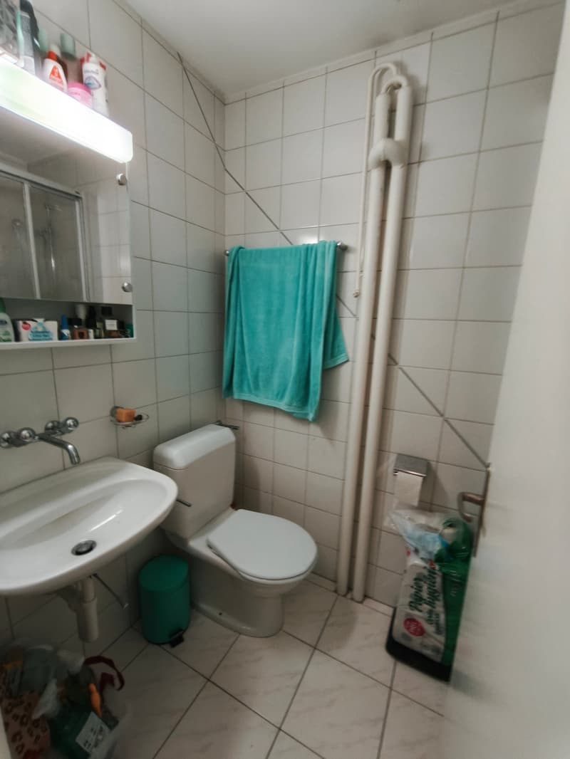 Gemütliche 1-Zimmer-Wohnung am Waldhöheweg in Bern (4)
