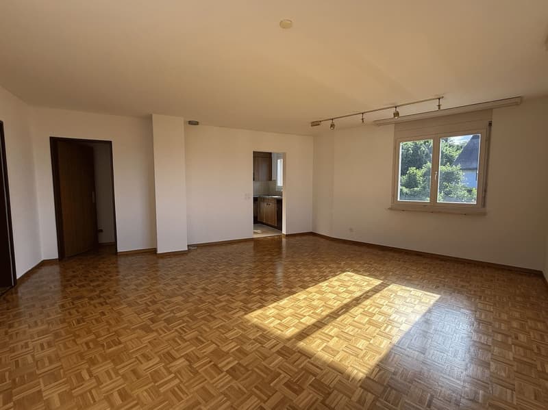 2.5-Zimmer-Eigentumswohnung mit Aussicht auf den See und die Reichenau (4)