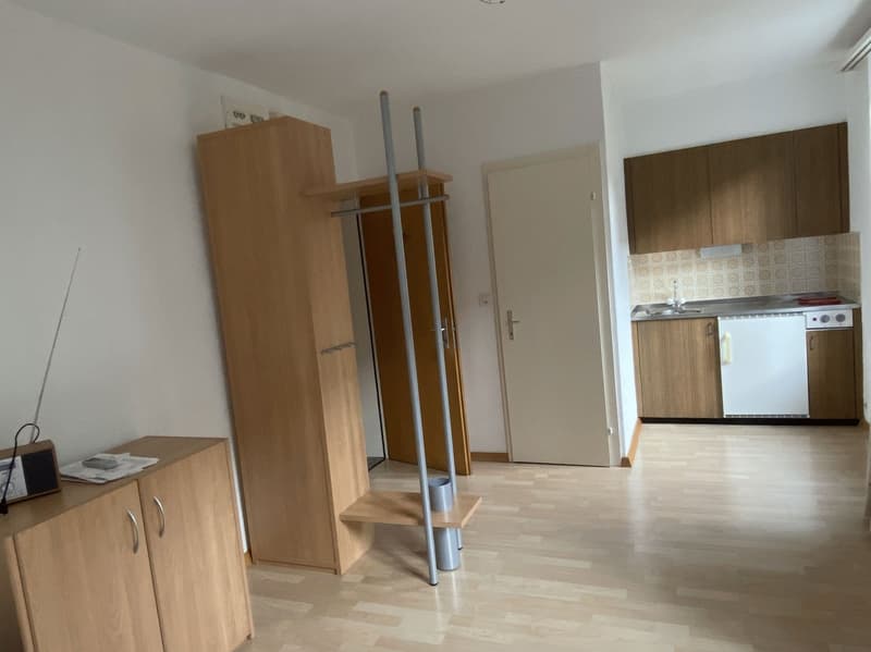 Furnished 1-room apartment in old building – Winterthur Wülflingen (2)