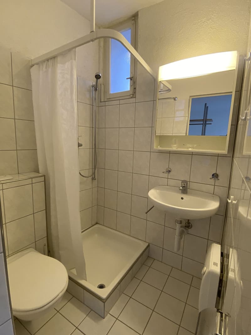 Furnished 1-room apartment in old building – Winterthur Wülflingen (4)