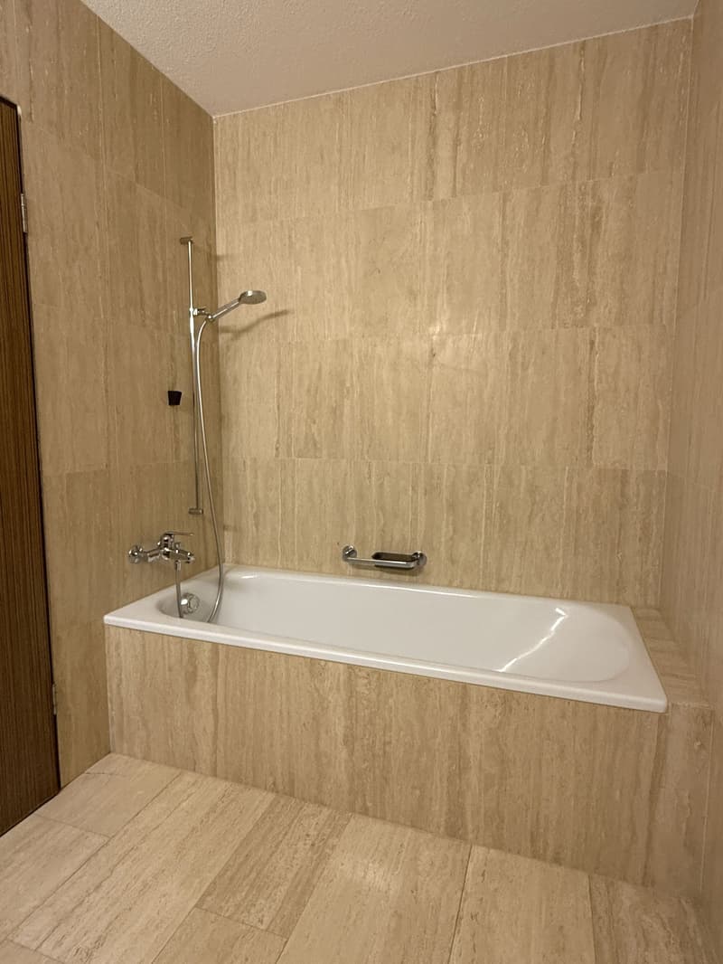2.5-Zimmerwohnung mit grossem Balkon und Seesicht (6)