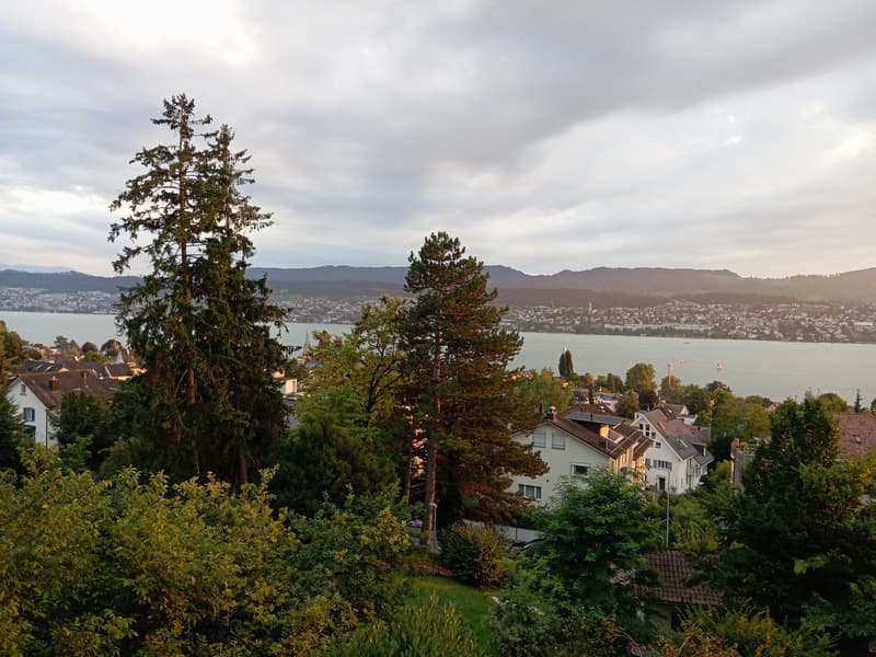 Traumhaftes Bauland mit Seeblick in Erlenbach ZH – 1'000 m² sofort verfügbar (4)