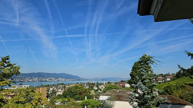 Traumhaftes Bauland mit Seeblick in Erlenbach ZH – 1'000 m² sofort verfügbar (2)