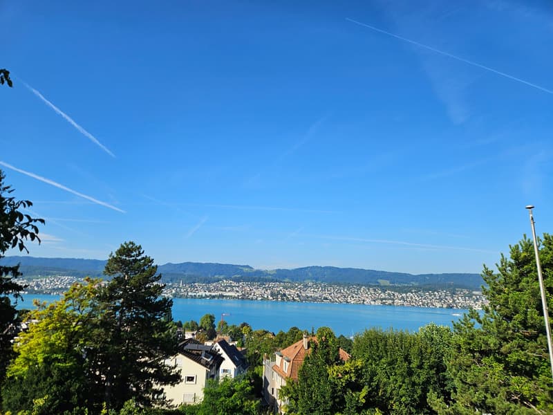 Traumhaftes Bauland mit Seeblick in Erlenbach ZH – 1'000 m² sofort verfügbar (1)
