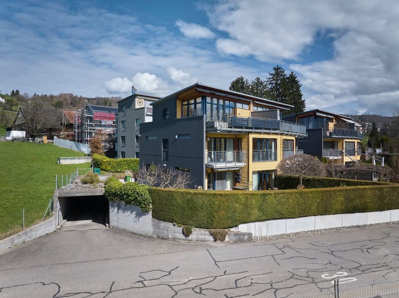 Arrive, breathe, be at home – living at the highest level in Meilen. (20)