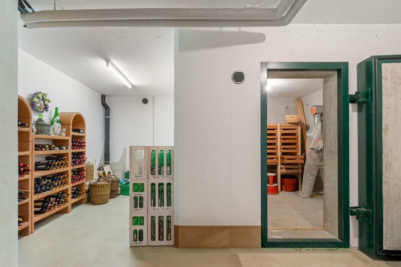 Raumwunder mit Blick ins Grüne (20)