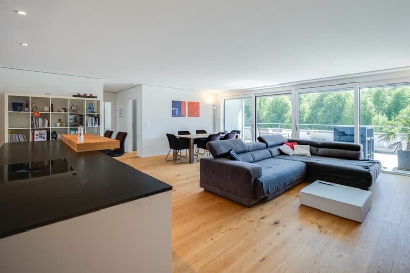 Living with a view - exclusive terrace apartment in Utzigen (8)