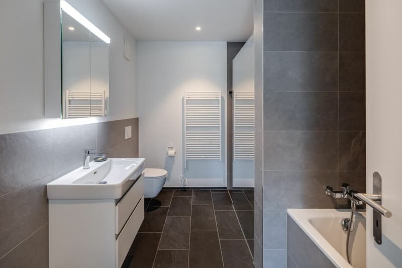 Living with a view - exclusive terrace apartment in Utzigen (15)