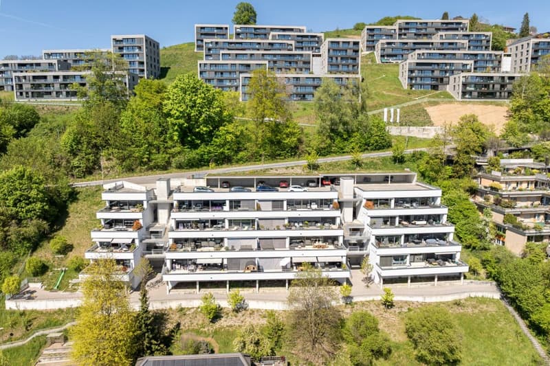 Living with a view - exclusive terrace apartment in Utzigen (18)