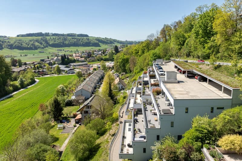 Living with a view - exclusive terrace apartment in Utzigen (17)