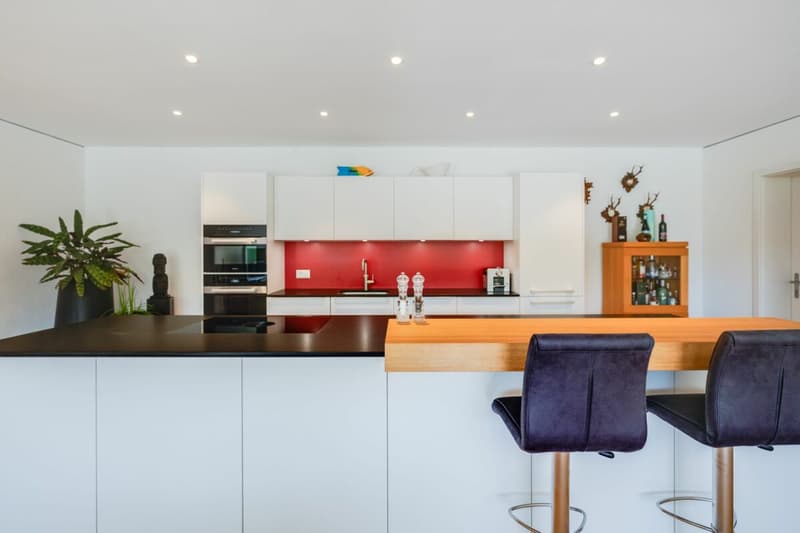 Living with a view - exclusive terrace apartment in Utzigen (5)