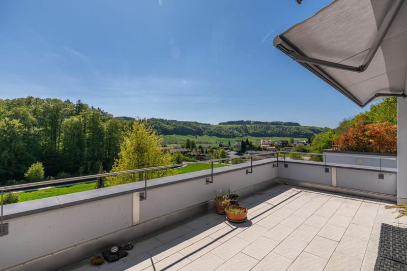 Living with a view - exclusive terrace apartment in Utzigen (1)