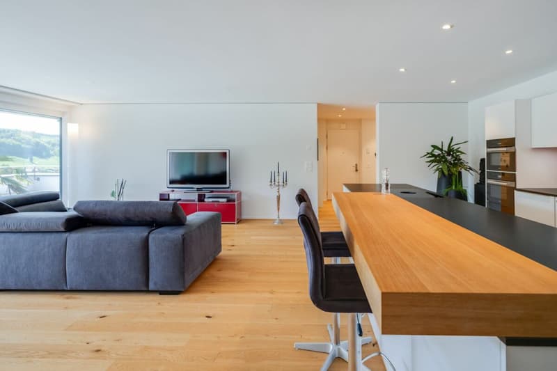 Living with a view - exclusive terrace apartment in Utzigen (10)